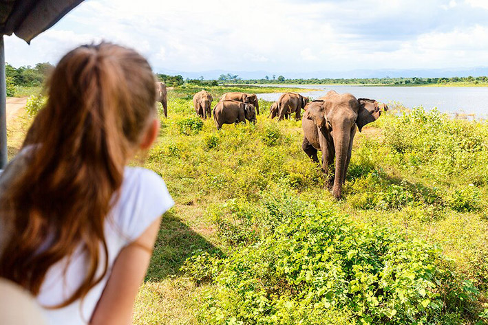 ADVENTURES WITH KIDS IN SRI LANKA