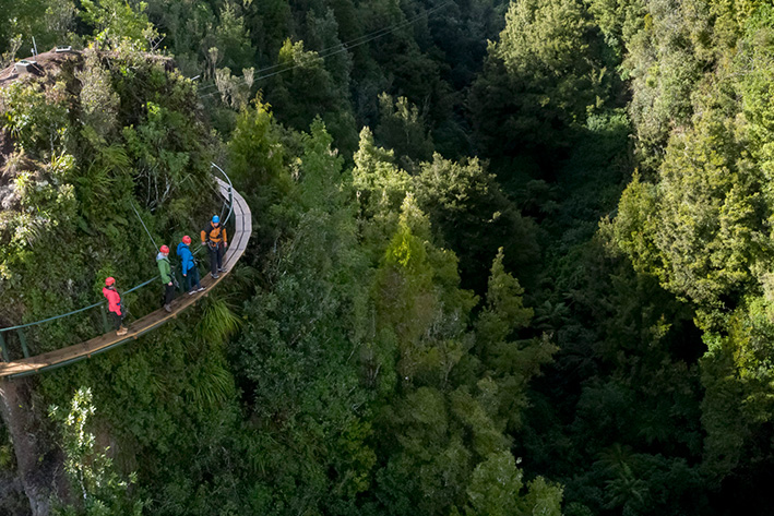 ECO FAMILY ADVENTURES