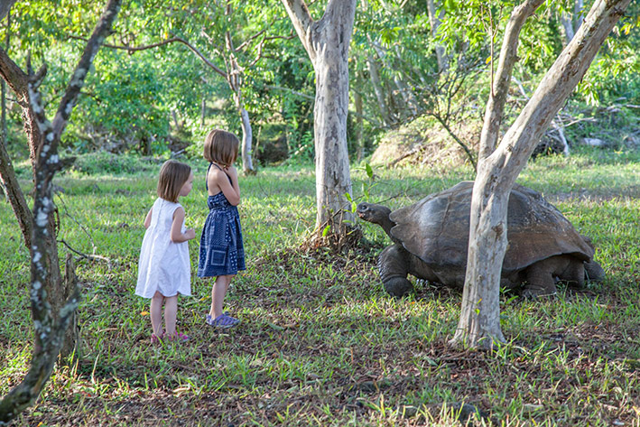 ECO FAMILY ADVENTURES