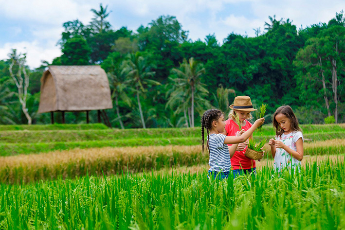 5 FOODIE HOLIDAYS FOR KIDS