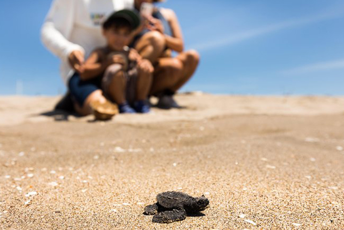VOLUNTEERING VACATIONS FOR KIDS