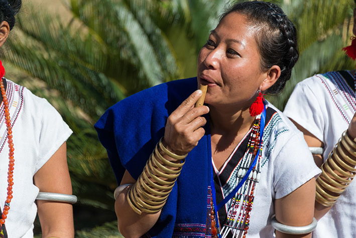 NAGALAND'S HORNBILL FESTIVAL