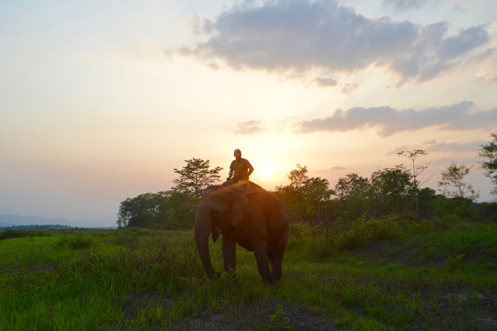 ELEPHANT GUIDES OF NEPAL
