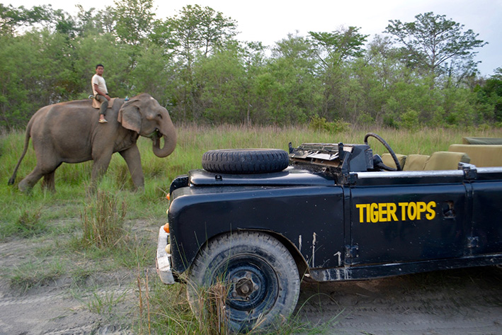 ELEPHANT GUIDES OF NEPAL