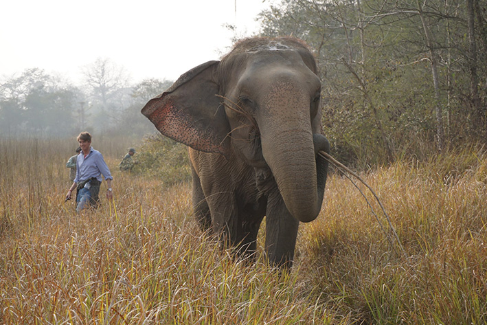 ELEPHANT GUIDES OF NEPAL