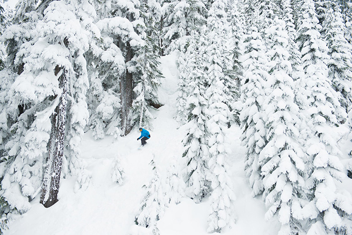 SKI EVERY MONTH OF THE YEAR
