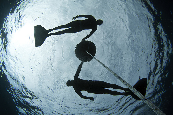 FREEDIVING WITH DOLPHINS IN HAWAII