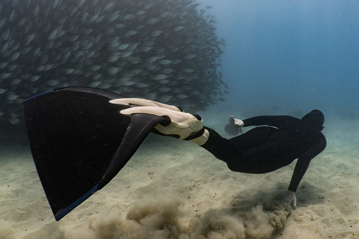 FREEDIVING WITH DOLPHINS IN HAWAII