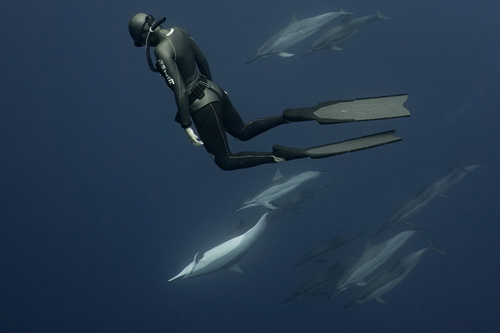 FREEDIVING WITH DOLPHINS IN HAWAII
