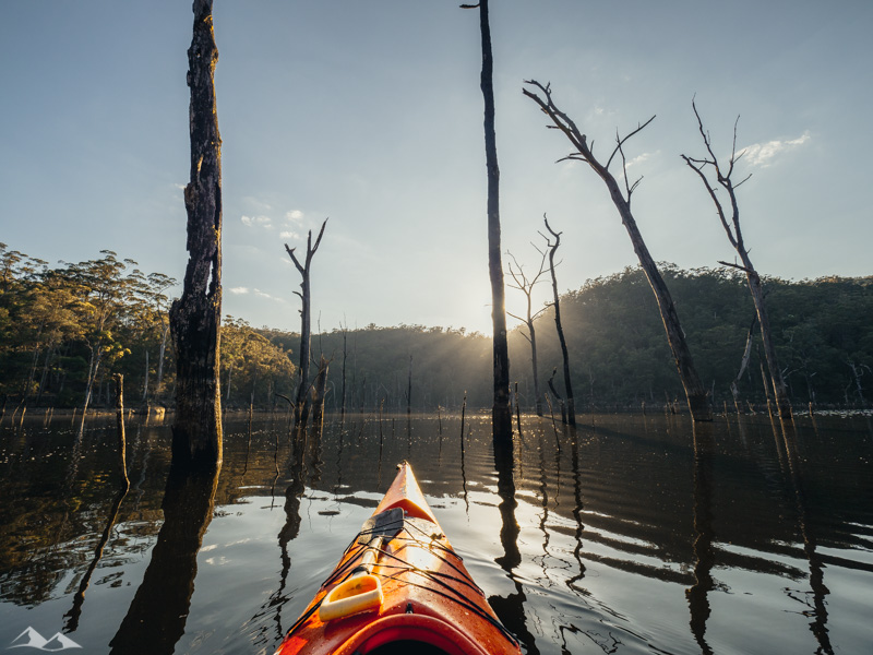KAYAKING A SUNKEN FOREST IN KANGAROO VALLEY