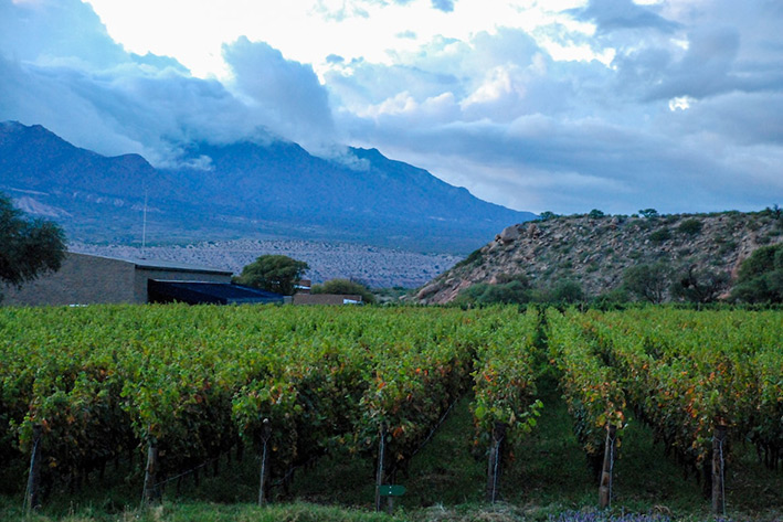 CYCLING THE WINE TRAILS OF ARGENTINA