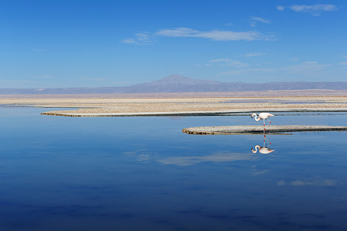 THE LANDSCAPES OF NORTHERN CHILE