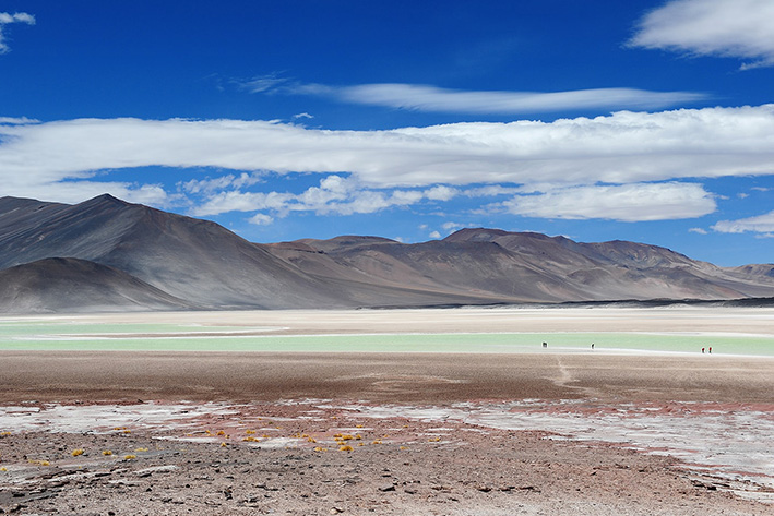 THE LANDSCAPES OF NORTHERN CHILE