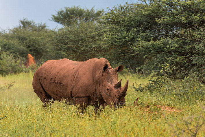 MY LIFE GROWING UP IN AN AFRICAN NATIONAL PARK