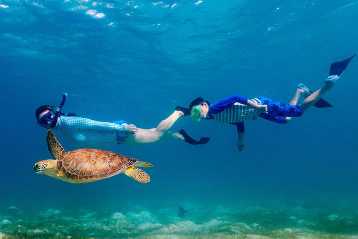 BEST THINGS TO DO IN ST KITTS