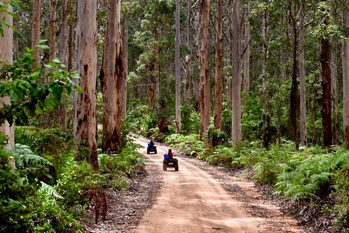 BEST ROAD TRIPS IN AUSTRALIA