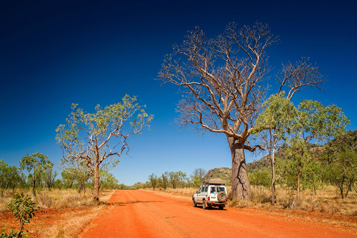 BEST ROAD TRIPS IN AUSTRALIA